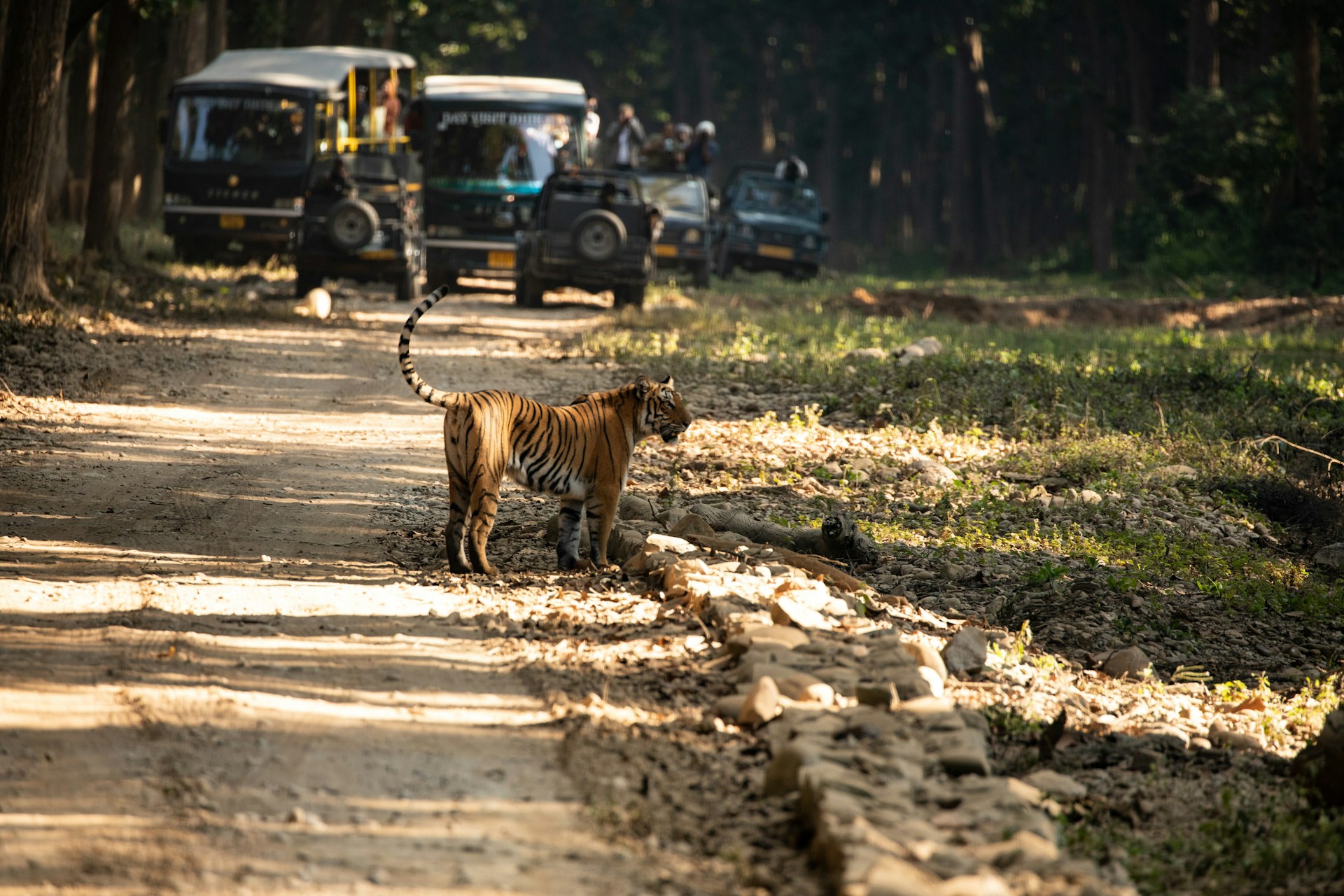 Jim Corbett