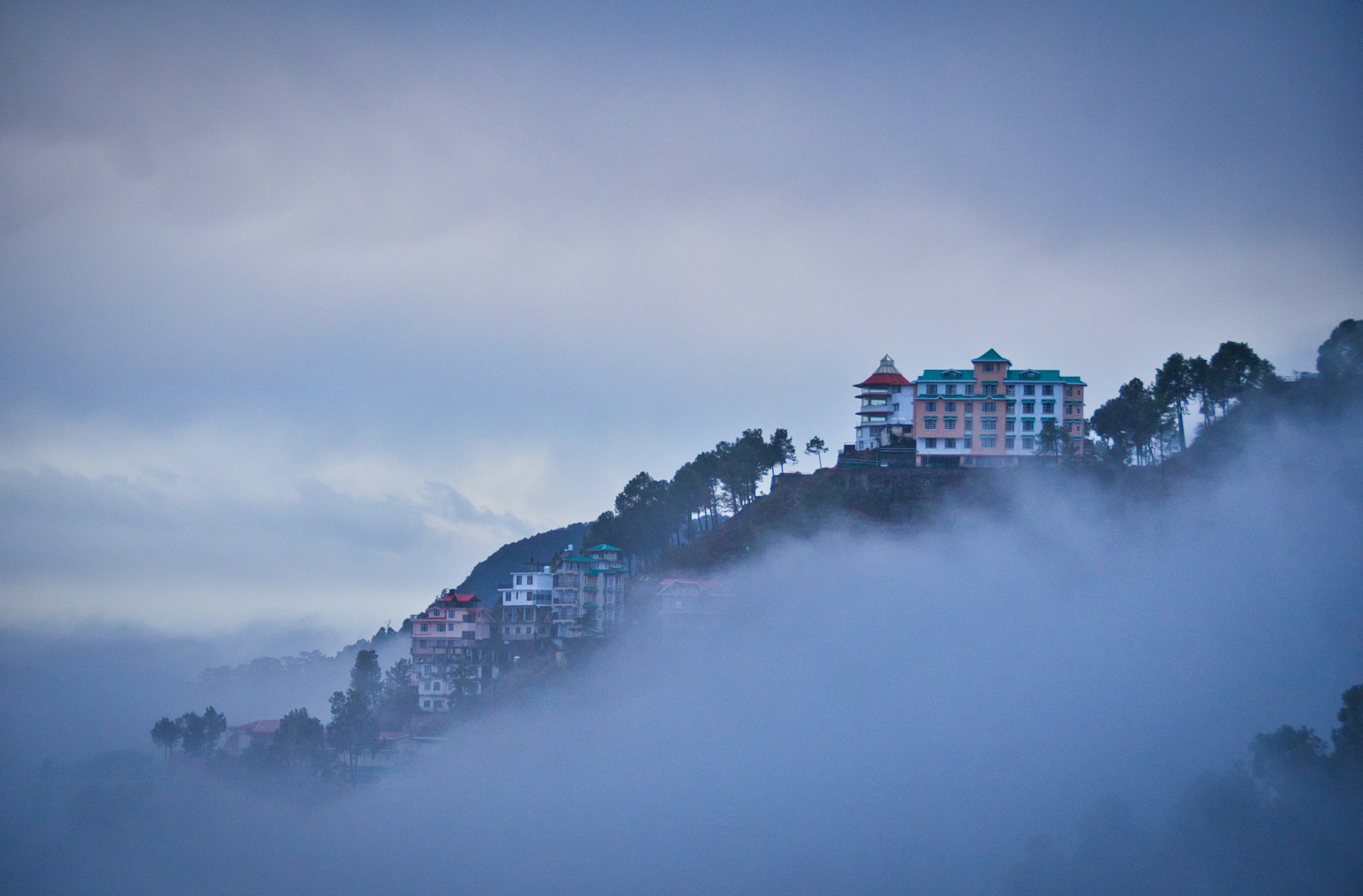 Shimla
